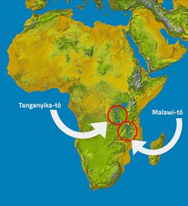 Afrika_térkép